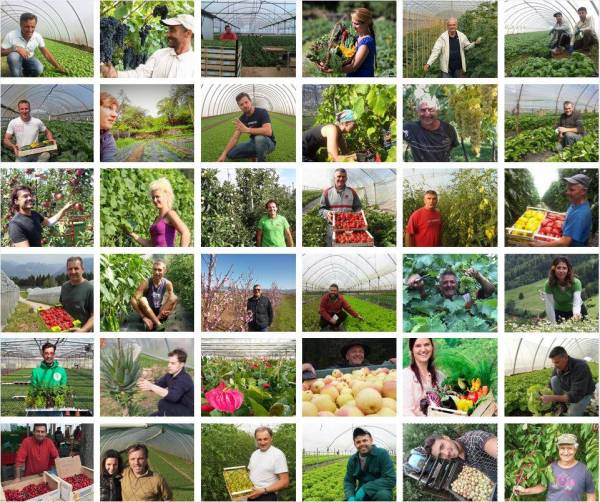 La scelta degli Agricoltori