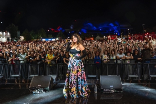 Image-Article